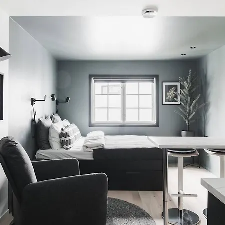 Lejlighed Top Standard Studio Close To City Center. Bg2 Bergen